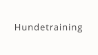 Hundetraining
